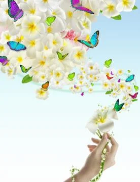 Butterfly on flowers Stock Illustration