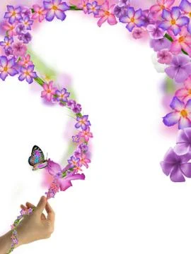 Butterfly on flowers Stock Illustration