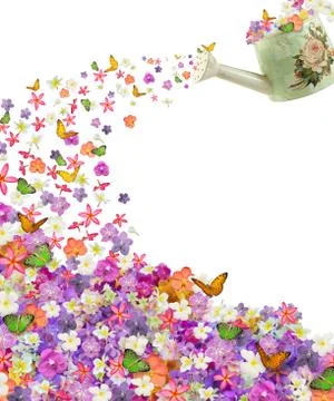 Butterfly on flowers Stock Illustration