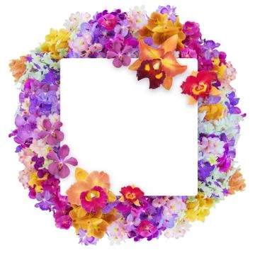 Butterfly on flowers Stock Illustration