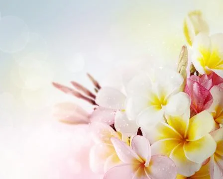 Butterfly on flowers Stock Illustration