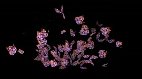 Butterfly fly,Design,pattern,symbol,dream,vision,idea,creativity,vj,art,decorati Stock-Footage 787775
