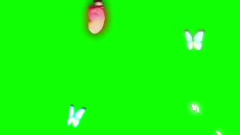Butterfly Flying Animation Green Screen Scenic Background Effect Video Stock Footage 322152553