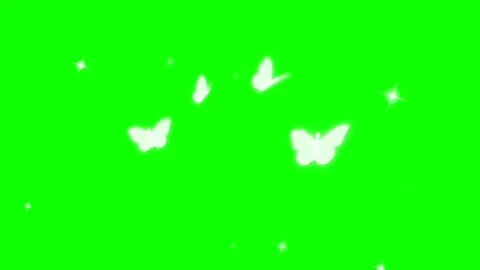 Butterfly Flying Animation Green Screen Scenic Background Effect Video Stock Footage 322153277