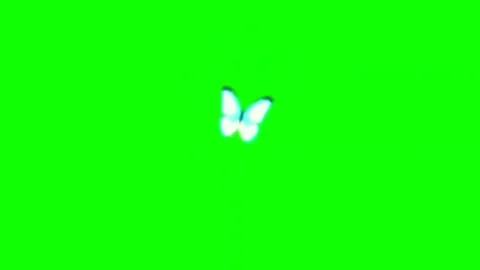 Butterfly Flying Animation Green Screen Scenic Background Effect Video Stock Footage 322153324