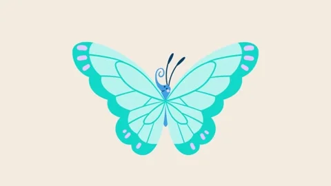 Butterfly Flying Stock Footage 246141709