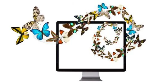 Butterfly flying out from computer Stock Photos