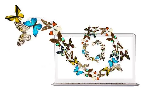 Butterfly flying out from computer Stock Photos