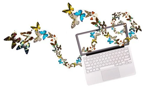 Butterfly flying out from computer Foto stock