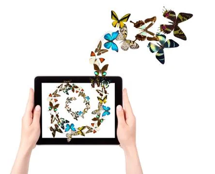 Butterfly flying out from tablet computer Stock Photos