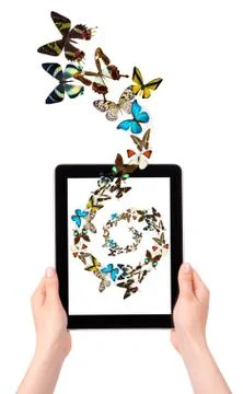 Butterfly flying out from tablet computer Stock Photos