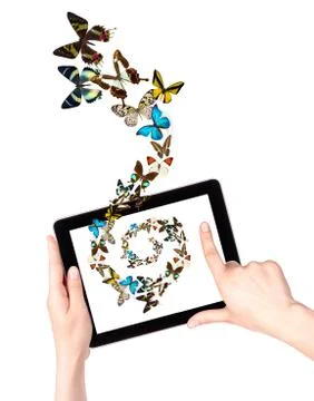 Butterfly flying out from tablet computer Stock Photos