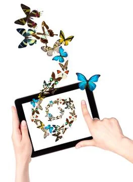 Butterfly flying out from tablet computer Stock Photos