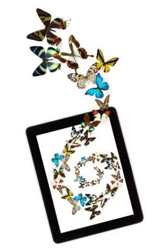 Butterfly flying out from tablet computer Stock Photos