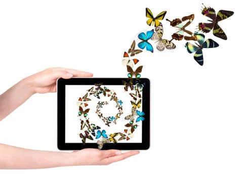 Butterfly flying out from tablet computer Stock Photos