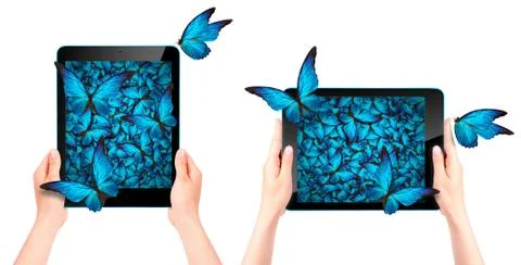 Butterfly flying out from tablet computer Stock-Fotos
