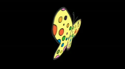 Butterfly Stock-Footage 264169