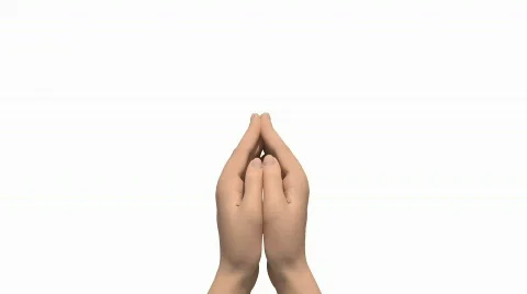 Butterfly Stock Footage 527993