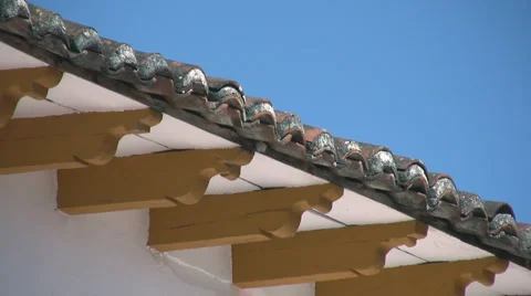 Butterfly Stock-Footage 3382200