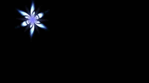 Butterfly Stock Footage 8839268