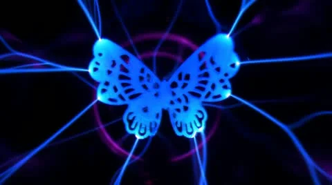 Butterfly, Stock Footage 10814120