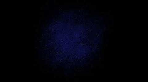 Butterfly Stock Footage 10911348