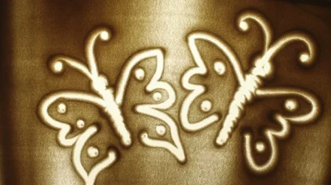 Butterfly Stock Footage 22324293