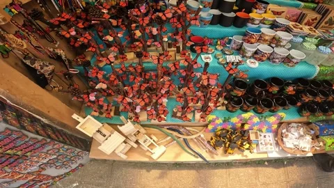 Butterfly Stock Footage 171597409