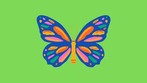 Butterfly Stock Footage 283467608