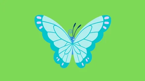 Butterfly Stock Footage 283467670