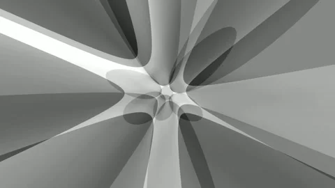 Butterfly Stock Footage 295393602