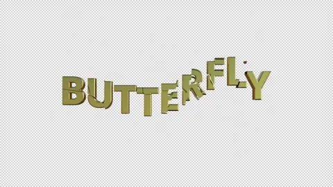 BUTTERFLY Stock Footage 307980625