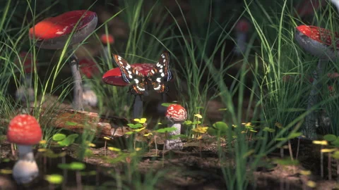 Butterfly in the forest Video stock 130792062