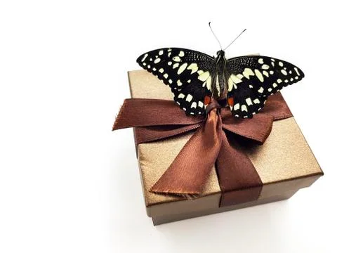 Butterfly on gift box 스톡 사진