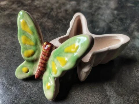 Butterfly gift Stock Photos