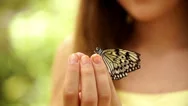 Butterfly On Girls Finger Stock Footage
