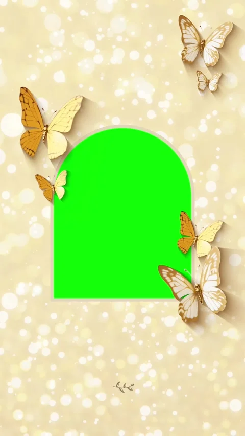 Butterfly Green Screen Template for Social Media Blank Invite Video Stock Footage 320376211