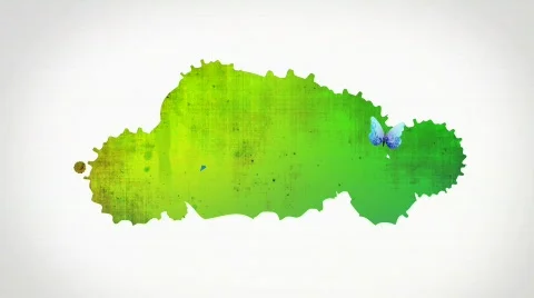 Butterfly grunge background Stock Footage 677565