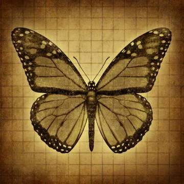 Butterfly grunge texture Stock Illustration