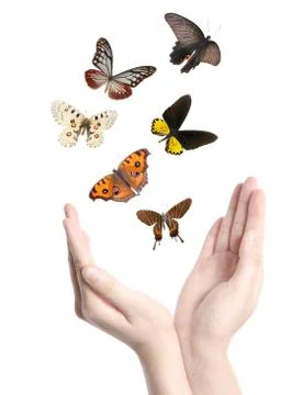 Butterfly on hand Stock Photos