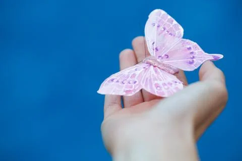Butterfly on the hand Stock Photos