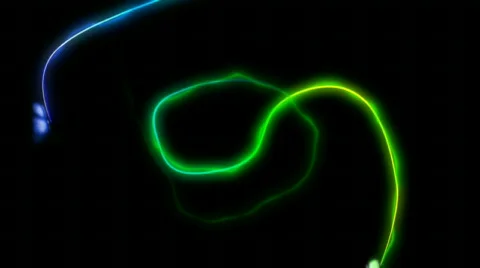 Butterfly HD 库存影片 481063