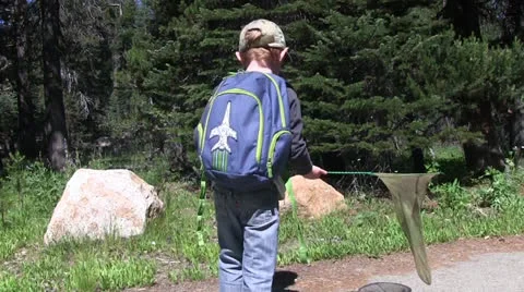 Butterfly hunter Stock Footage 25592625