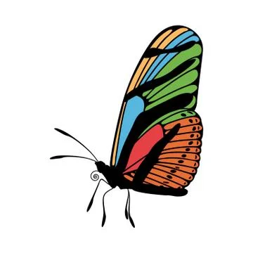 Butterfly Icon Stock Illustration