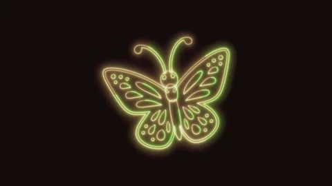 Butterfly Icon Neon Seamless Loop 4K (Black Background) Stock Footage 310357373