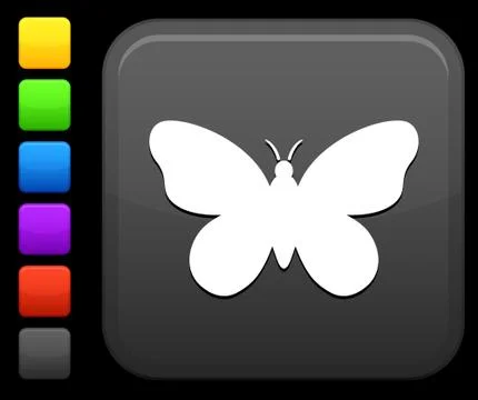 Butterfly icon on square internet button Illustrazione stock