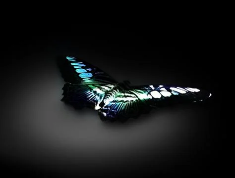 Butterfly Stock Illustration