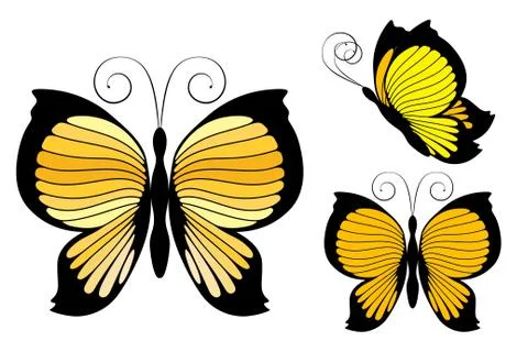 Butterfly Stock Illustration