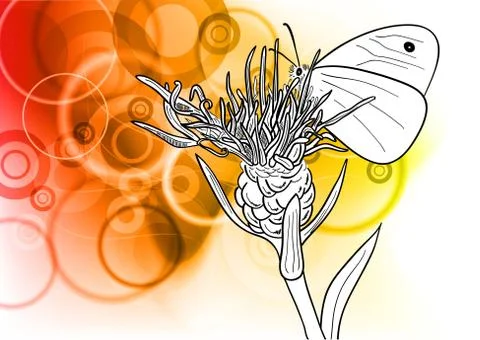 Butterfly Stock Illustration