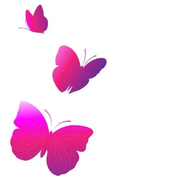 Butterfly Stock Illustration